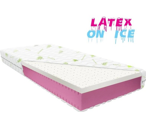proPOSTELE LatexOnIce