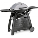 Weber Q 3000