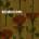 Franco Battiato - Fleurs CD