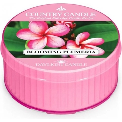 Country Candle BLOOMING PLUMERIA 35 g