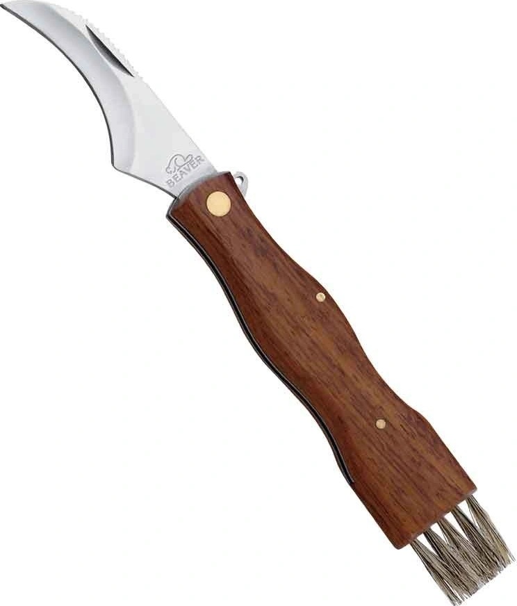 Beaver Gunter