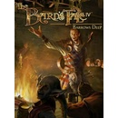 The Bards Tale IV: Barrows Deep