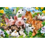 Castorland - Puzzle Farm Friends 40 maxi - 40 - 99 piese