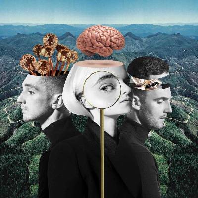 Warner Clean Bandit: What Is Love? - CD (023966)