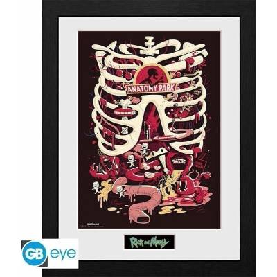 Rick and Morty Zarámovaný plakát - Anatomy Park