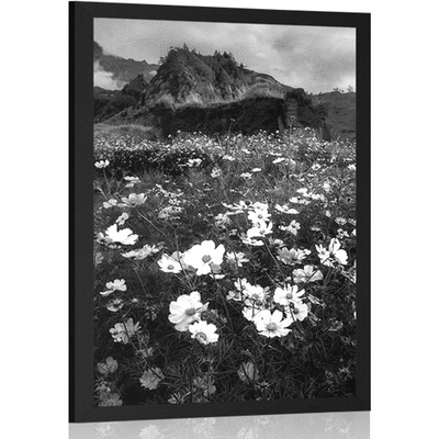 Plakát louka kvetoucích květin v černobílém provedení - 40x60 no frame