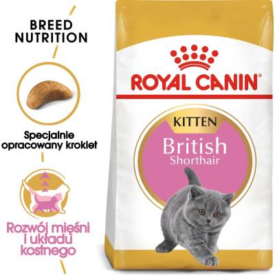 Royal Canin British Shorthair Kitten 2 кг суха храна за котенца, до 12 месеца, порода британска късокосместа котка
