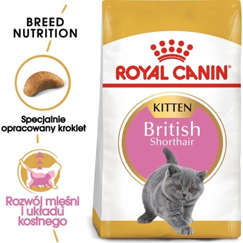 Royal Canin British Shorthair Kitten 2 кг суха храна за котенца, до 12 месеца, порода британска късокосместа котка