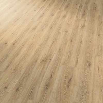 Karndean Conceptline Acoustic Click 30111 4V Dub skandinávský medový 2,15 m²
