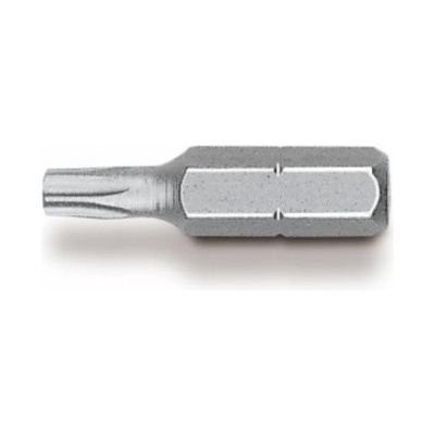 Witte TORX T 10 29503