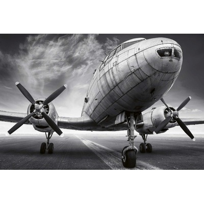 DIMEX ART Флизелинов фототапет самолет на писта 375 x 250 см