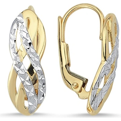 Lillian Vassago gravírované náušnice z kombinovaného zlata LLV46-GER047