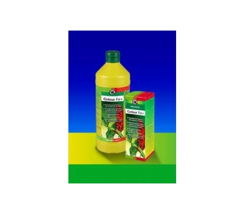 Colour Fe 2000ml