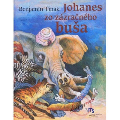 Johanes zo zázračného buša - Benjamín Tinák, Zuzana Bruncková Bočkayová
