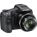 Sony Cyber-Shot DSC-HX200