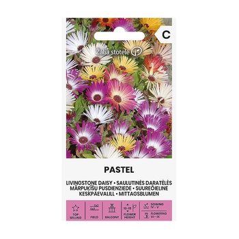 Seklos Ливингстонска Маргарита Микс Пастел / Dorotheanthus Bellidiformis Pastel