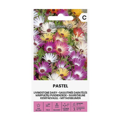 Seklos Ливингстонска Маргарита Микс Пастел Dorotheanthus Bellidiformis Pastel
