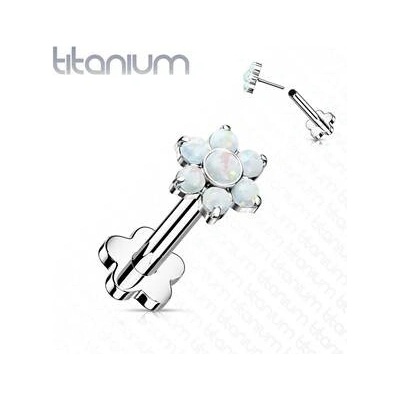 Šperky4U Push In piercing do brady ucha titan TIT1193-OP17