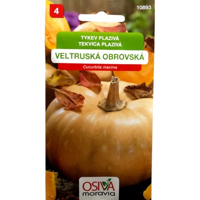 Semienka Tekvica plazivá Veltruská Obrovská Cucurbita maxima