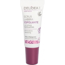 DELIDEA Exfoliating Lip scrub 10 ml