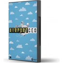 Airport CEO