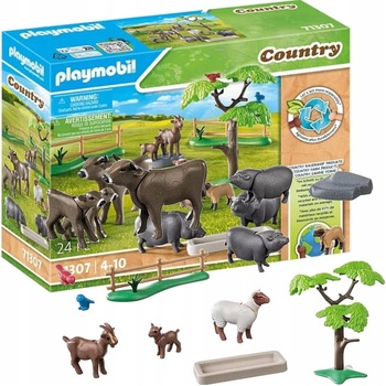 PLAYMOBIL 71307 Krajina