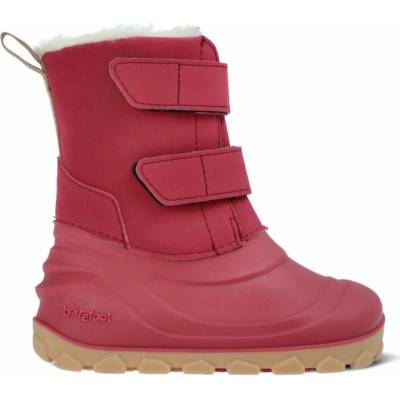 Rayve BLIZZARD Bordeaux