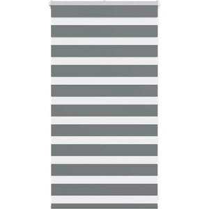 vidaXL Зеброва щора 90x100 см ширина на плата 85, 9 cm полиестер (4014103)