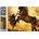 Norimpex - Puzzle Diamant painting: Horse taming 30x40cm - 1 - 39 piese