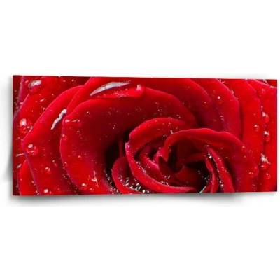 Sablio Obraz Růže - 110x50 cm