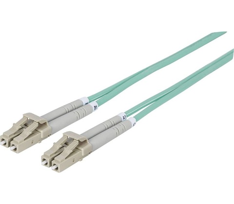 Intellinet 750066