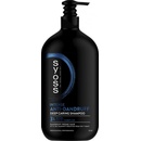 Syoss šampón Intense Anti-Dandruff hĺbkovo ošetrujúci proti lupinám 750 ml