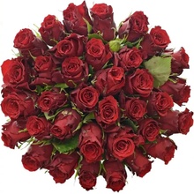 Kytice 35 rudých růží RED TORCH 50 cm