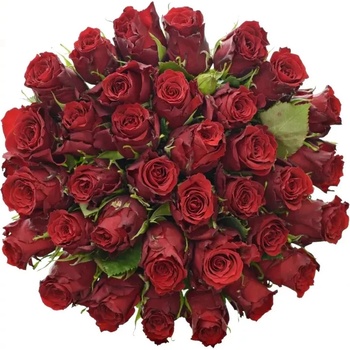 Kytice 35 rudých růží RED TORCH 50 cm