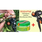  Ножица за ашладисване с 3-накрайника + ПОДАРЪК (ОВОЩАРСКА ЗАМАЗКА)