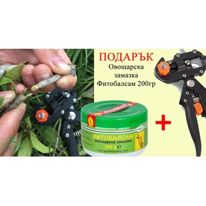  Ножица за ашладисване с 3-накрайника + ПОДАРЪК (ОВОЩАРСКА ЗАМАЗКА)