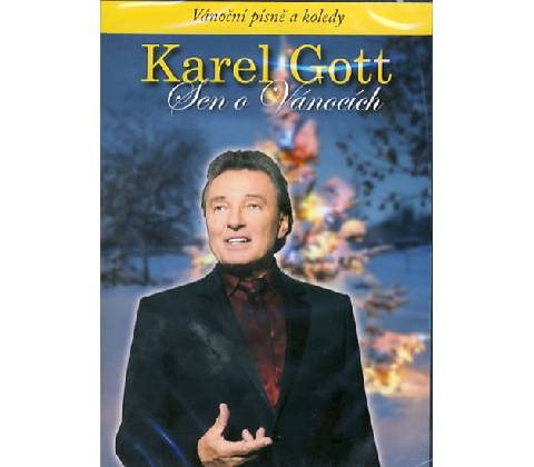 Sen o vánocích DVD