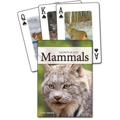 Mammals of the Northeast Playing Cards | Stan Tekiela