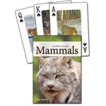 Adventure pubn Mammals of the Northeast Playing Cards | Stan Tekiela