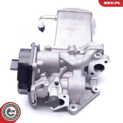 AGR-Ventil ESEN SKV 14SKV151