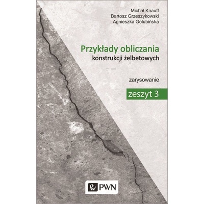 PRZYKŁADY OBLICZANIA KONSTRUKCJI ŻELBETOWYCH ZESZYT 3