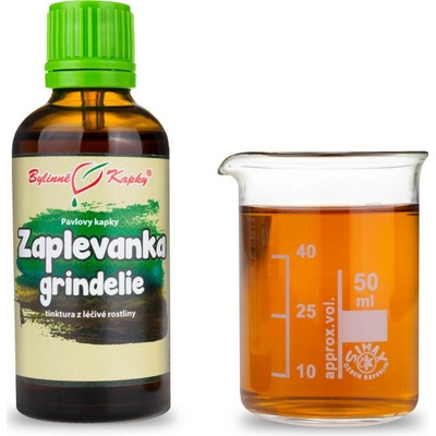 Zaplevanka grindelie kvapky tinktúra 50 ml