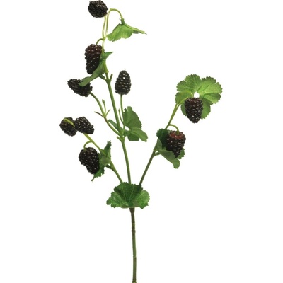 Malina černá (spray) V45 cm (N402909)