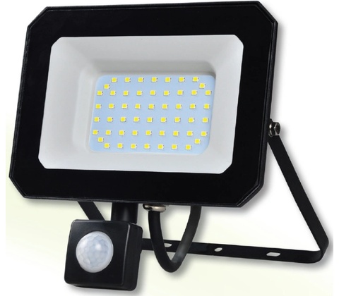 Sandria R3097
