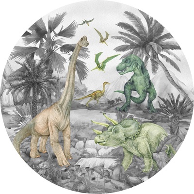 AG Design CR3251 Samolepicí vliesová fototapeta Dino rozměry 70 x 70 cm