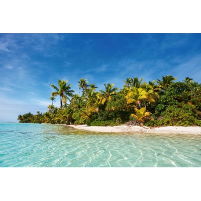 DIMEX ART Флизелинов фототапет тропически палми 375 x 250 см