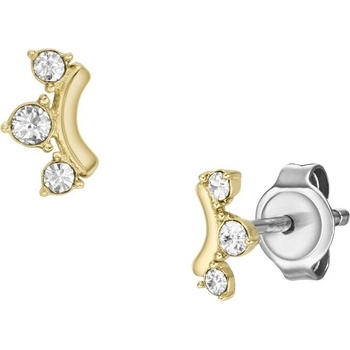 Fossil náušnice JF04596710