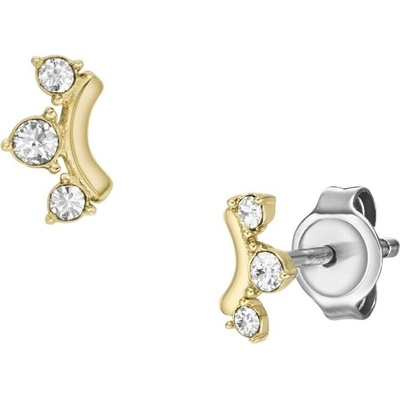 Fossil náušnice JF04596710