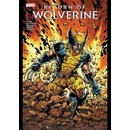 Return of Wolverine