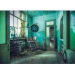 Ravensburger - Puzzle Lost Places: Asylum - 1 000 piese